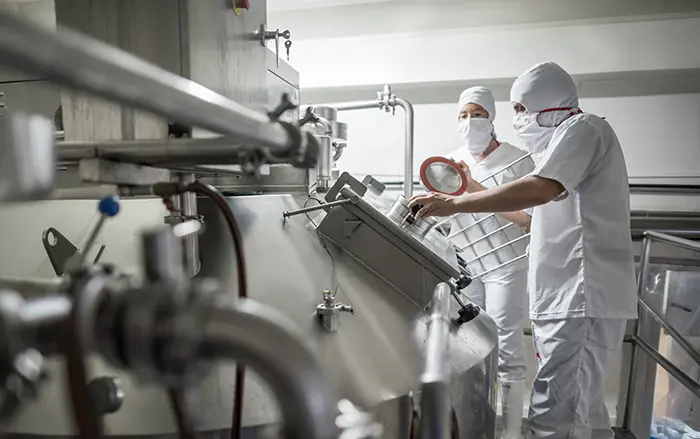 Food processing technicians operating stainless steel dairy processing equipment in a sanitary production environment.
