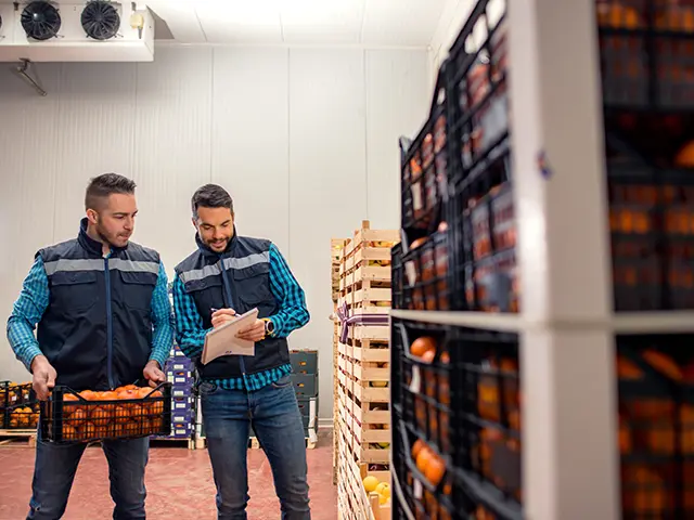 Workers inspecting produce inventory inside a refrigerated storage room with organized shelving and commercial cooling systems.
